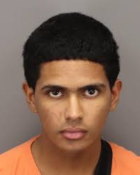 St. Petersburg Police Department