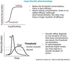 Image result for Loop Diuretic