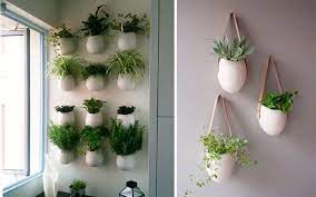Tenemos todos los objetos de decoración que quieras: Ideas Originales Para Decorar La Cocina Con Plantas Plantas Para Cocina Plantas En Pared Decoracion Plantas