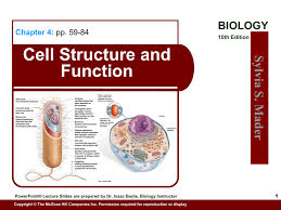 And phenotypic switching in podocytes (supplementary fig. Cell Structure And Function Chapter 4