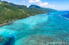 Image result for Mohria