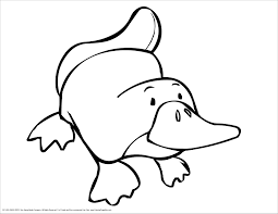 Printable platypus coloring page for kids. Platypus Coloring Pages Coloringbay