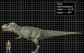 jp3 t rex size chart in 2019 jurassic park world