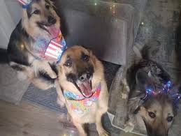 Wishing everyone a safe &...