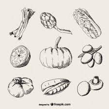 Vintage Food Retro Template Kitchen Vegetables Realistic Drawings Drawings Sketches