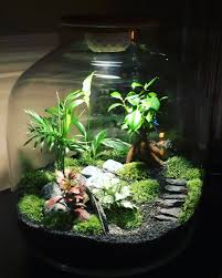 Pin By Katarzyna Kowal On Las W Sloiku Small Terrarium Garden Terrarium Miniature Garden