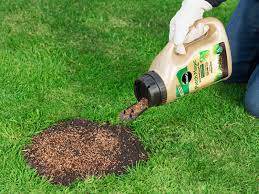 Cut your grass in the summer at least once a week. A Guide To Spring Lawn Feeding And Care Lovethegarden