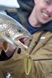 Square led recessed lighting wachusett reservoir fishing rules. Sweetwater Surfcasting Wachusett Reservoir Lake Trout Report