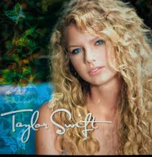 What do you think of my Taylor Swift line drawing?