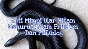 Mimpi ular hitam dan merah. Arti Mimpi Ular Hitam Menurut Islam Primbon Dan Psikolog Youtube