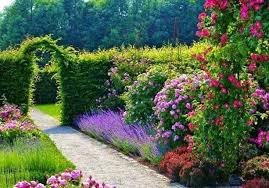 Numair On Twitter Beautiful Gardens Purple Garden Garden Archway