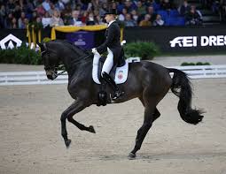 Lise lang willar production : News Detail 36 Internationale Reitturnier Stuttgart German Masters Vom 10 14 November 2021