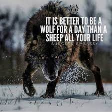 Pin On Quotes