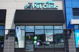 You can count on us to provide quality pet care seven days a week. Aurora North Pet Clinic Vet Clinic In Aurora Ontario Home