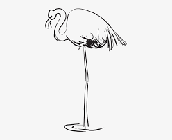 25) octopus natural history print. Flamingo Clipart Large Flamingo Black White Png Png Image Transparent Png Free Download On Seekpng