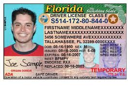 Florida Officials Investigate Possible Criminal Misuse Of Patronis License Info Blogs