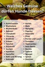 Welches Gemuse Durfen Hunde Fressen 38 Gesunde Gemusesorten Hunde Ernahrung Hund Essen Hunde Futter