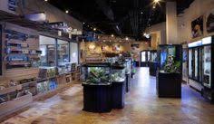 Maybe you would like to learn more about one of these? 17 Houston Store Ideas Aquarium Shop Aquarium Store Fishing Room