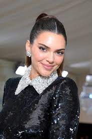 Kendall Jenner Nearly Bares It All in Stylish Sheer Dress: Photos