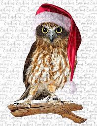 Christmas Owl 2 Clipart Instant Download Sublimation - Etsy