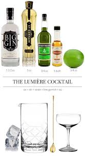 Best Gin Cocktail Recipe The Lumiere Gin Cocktail Recipes Best Gin Gin Cocktails