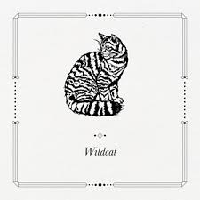 Bbc One His Dark Materials Wildcat