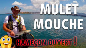Peche A La Mouche Du Mulet Hamecon Ouvert Youtube