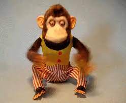 Chim Chim Pet Monkey Monkey Animation Monkeys Funny