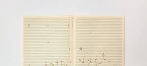 Bildergebnis für Roman Schramm