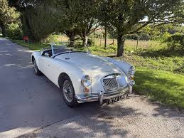 Image result for Old English White 1960 MG
