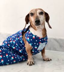 Drag Bags Are Great For Those Pets In Our Lives That Have Mobility Issues Specifically Ivdd Paralysis Or Amputations The I Puppy Diapers Paralyzed Dog Pets