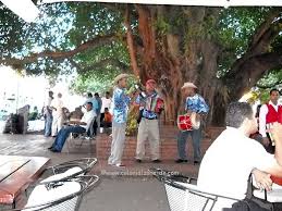 The first artist who debuted in the bachata field was josé manuel calderón in 1962, with his song borracho de amor (translates to drunk. Dominican Republic Typical Music