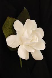 Gardenia Clay Flower Boutonniere Flower Drawing Pretty Flowers Clay Flowers