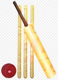 Cartoon bat rigged 3d model available on turbo squid, the world's leading provider of digital 3d models for visualization, films, television, and games. Bats Cartoon Png 1175x1599px Cricket Bats Baseball Cricket Croquet Drum Stick Download Free