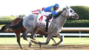 14 post for saturday's 147th kentucky derby at churchill downs. Essential Quality Wins Final Prep Race Ahead Of 2021 Kentucky Derby
