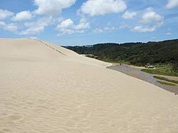 Image result for Lasiodiscus pervillei