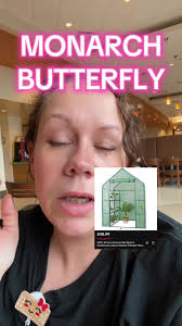 How to Protect Butterfly Garden from Lizards