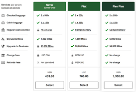 Fast Track To Emirates Skywards Status With Select Fares