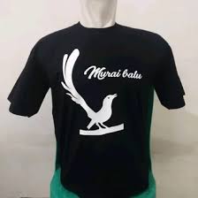 People interested in murai batu wallpaper also searched for. Jual Produk Shirt Baju Burung Murai Batu Termurah Dan Terlengkap April 2021 Bukalapak