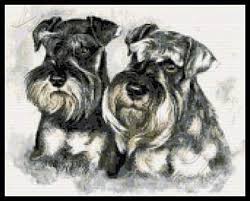 Top selection of 2021 schnauzer cross stitch, home & garden and more for 2021! Schnauzer Pair Cross Stitch Kits Cross Stitch Counted Cross Stitch Schnauzer