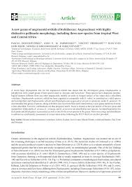 Image result for Kylicanthe rohrii