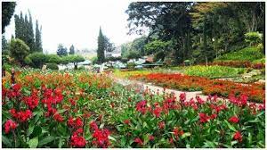 Taman yang satu ini berlokasi di jalan citarum nomor 23 a, citarum, kecamatan bandung wetan, kota bandung. Wisata Taman Bunga Di Bandung Buat Liburan Romantis Bareng Pasangan Tribun Travel