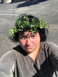 Erica Mayo's Instagram, Twitter & Facebook