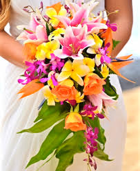 Cascading Tropical Bridal Bouquet With Yellow Plumeria And Stargazer Tropical Wedding Bouquets Daisy Wedding Flowers Tropical Bridal Bouquet