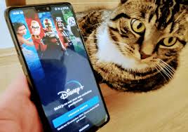 I installed this on my android tv box, and it only gets audio in spanish. Disney Plus Is Not Mirroring To Tv Here S What To Do