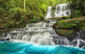 Maybe you would like to learn more about one of these? Wallpaper Forest River Waterfall Forest River Landscape Jungle Beautiful Waterfall Tropical Images For Desktop Section Priroda Download