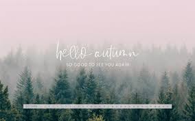 Desktop image computer monitor working person vector desktop web mac concrete tables person on desktop computer monitor on desk team computer engineering college computer. Kostenlose Wallpaper Entdecke Jeden Monat Neue Motive Jo Judy