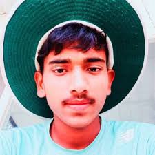 Ankit-maurya Cricket Profile