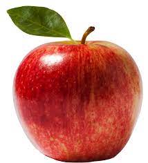 A Nemes Alma Vagy Hazi Alma Malus Domestica A Rozsaviraguak Rosales Rendjebe Es A Rozsafelek Rosaceae Csalad Watercolor Fruit Apple Picture Fruits Images