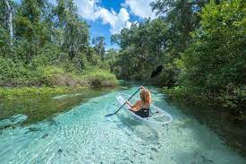 We launch our clear kayak tour of shell key preserve from local waterfront seafood restaurant: Clear Kayak Tours In Florida Get Up And Go Kayaking Must Do